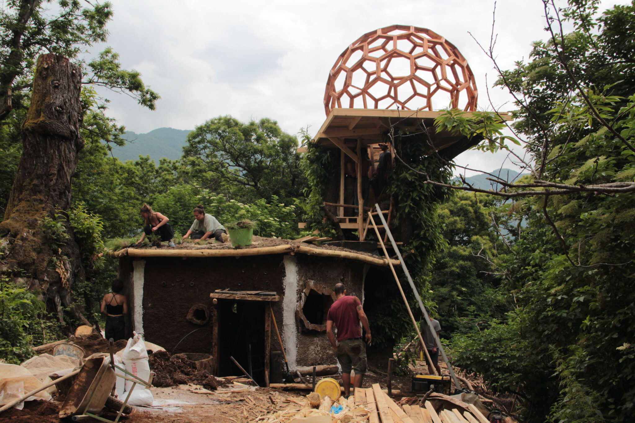 Roots & Roofs – Building Natural Homes and Sustainable Communities ...