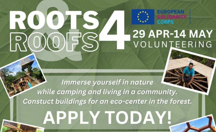Roots & Roofs is back, join us! (Fourth Phase-2024)